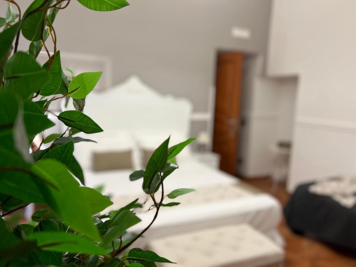 Miluar - Centro Storico - Lungo La Via Della Musica Bed & Breakfast Napoli Eksteriør bilde